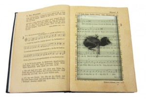 Gesangsbuch, Assemblage, 14,5 x 21,5 x 3 cm, 1995